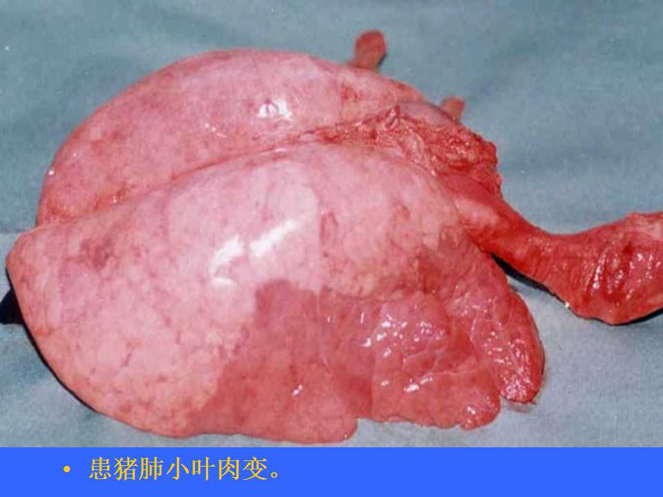 幻灯片3