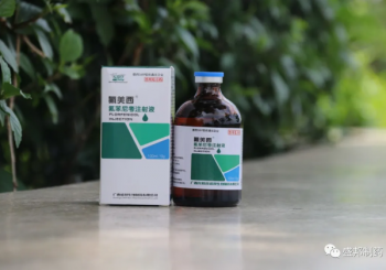 100ml氟美西(氟苯尼考注射液)